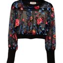 Cosmopolitan NEW  DRESS THE POPULATION MESH FLORAL LONG SLEEVE CROPPED TEE TOP Photo 2