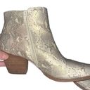 Coconuts by Matisse Astoria pointed toe stacked block heel bootie cream & gold 8 Photo 8