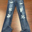 American Eagle Super Stretch AEO Denim Super Low Jeggings Size 4 Long Photo 0