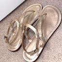 Bernardo Metallic Gold Sandals  Photo 1