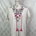 MarleyLilly  Embroidered Floral Resort wear Dress NWT Size L Photo 1