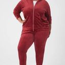 Lane Bryant NWT LIVI Active  Velour Jogger Burgundy Red Sz 30/32 Rhubarb Photo 0