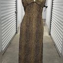 Krass&co Morgan  Snakeprint Halter Neck Maxi Dress Photo 0