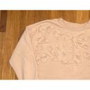 Banana Republic  Peach Mesh Applique Crewneck Sweater M Photo 1