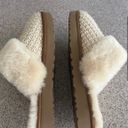 UGG Slippers Photo 2