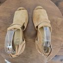 Jack Rogers  Womens Shoes Size 9.5M Brown Suede Open Toe Strap Chunk Heels Photo 6