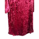 Z Supply  Women’s Medium Velvet Short Sleeve V-Neck Dark Red Blouse Photo 10