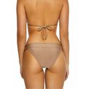 PilyQ New.  water lily lace banded bikini bottom. Large Photo 2