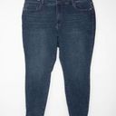 Pistola NEW  women's skinny jeans in moody wash, 22W Photo 0