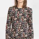 ZARA  Floral Peplum Top  Photo 1