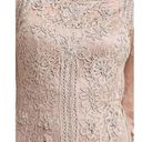 Sue Wong  Blush Pink Lace Bodycon Cocktail Dress Size 8 Photo 2