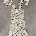 Beginning Boutique  / rose and Remington polka dot dress Photo 0