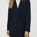 Wilfred  Aritzia CHERRELLE Black Double Breasted Blazer Jacket Size S Photo 1