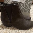 Steve Madden Booties Photo 0