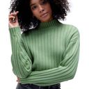 LA Hearts Pacsun  Sailing Mock Neck Cropped Ribbed Green Sweater S Gremlin Goblin Photo 0