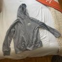 Roots Grey Hoodie Photo 0