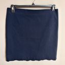 J. McLaughlin  Navy Petal Side Zip Scallop Hem A-line Stretch Skirt size 10 NWT Photo 0