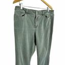 J.Jill  Denim Authentic Fit Slim Ankle Jeans Stretch Cotton Blend Green Size 14 Photo 1