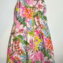 Lilly Pulitzer  For Target Floral Dress Size 2 Photo 2