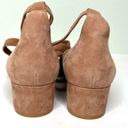 Gianvito Rossi  Suede Low Heel Pumps with Wrap Straps Mauve / Taupe Size 36.5 6 Photo 8