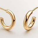 Aristocrazy Small hoop earrings made of 925 silver bathed in 18K yellow gold Photo 0