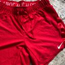 Nike Dri-Fit Running Shorts Photo 2