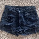 American Eagle Shorts Photo 0