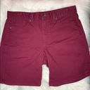 Calvin Klein NWOT  plum / maroon jean shorts Photo 1