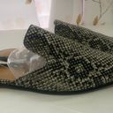 Banana Republic Snakeskin Black & White Mules Slides Size 6 NWT Photo 0