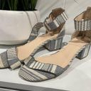 Charlotte Russe Striped Heels Photo 0