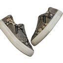 Steve Madden  Women's Glaammar Slip On Platform Sneaker In Snake - Gray, 7US Photo 3