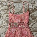 Lucy in the Sky Embroidered Lace Dress in Pink Photo 3