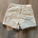 Everlane Tan Denim Shorts Photo 5