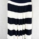 J.Crew  Factory Store White Navy Pleated A Line Casual Skirt Size 0 Photo 0