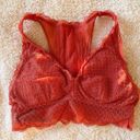 Aerie Coral Orange Lace Racerback Scallop Hem Bralette  Photo 3