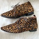 Gap  Sz 9 Womens Leopard Print Calf Hair Ankle Boots Booties Shoes Lace Up Photo 3