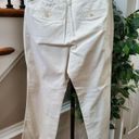 Dockers  Women's White Cotton Mid Rise Straight Legs Casual Jeans Pants Size 12 Photo 7