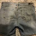 sts blue high Waisted Shorts Size 30 Photo 3