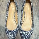 mix no. 6  Vantage Pointed Toe Skimmer Flats Ballet Shoes Folklore Fabric Print Photo 1