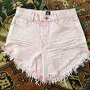 Urban Outfitters BDG Shorts Photo 0