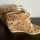 Rebecca Taylor  leopard wedge sneakers size 10 Photo 4