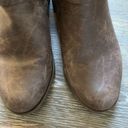 Frye & Co Brown Eveline Boots 6 Photo 5