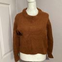 Everlane  Burnt Orange Alpaca And Wool Blend Pullover Fuzzy Sweater Photo 0