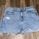 American Eagle Outfitters Shorts Photo 0