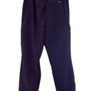 Eddie Bauer  Pants Women's 14 Purple Nylon Joggers Fleece Lined Outdoors Ladies Photo 1