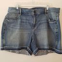 Lane Bryant  The Girlfriend Short Jean Shorts Blue Pinstripes Size 20 Photo 0