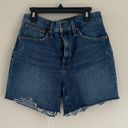 Madewell  highrise denim shorts Photo 1