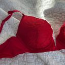 Marilyn Monroe 34b Lace Bra Photo 1