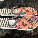 Havaianas  Slim Floral Stripe Flip Flops Thong Sandals 39/40 EUR 41/42 USA 9 / 10 Photo 0