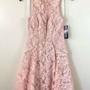 XScape  Lace Fit & Flare Dress Blush Pink 2 Photo 2